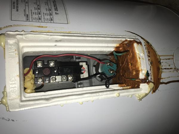 Water Heater Leaking from Bottom Element Panel