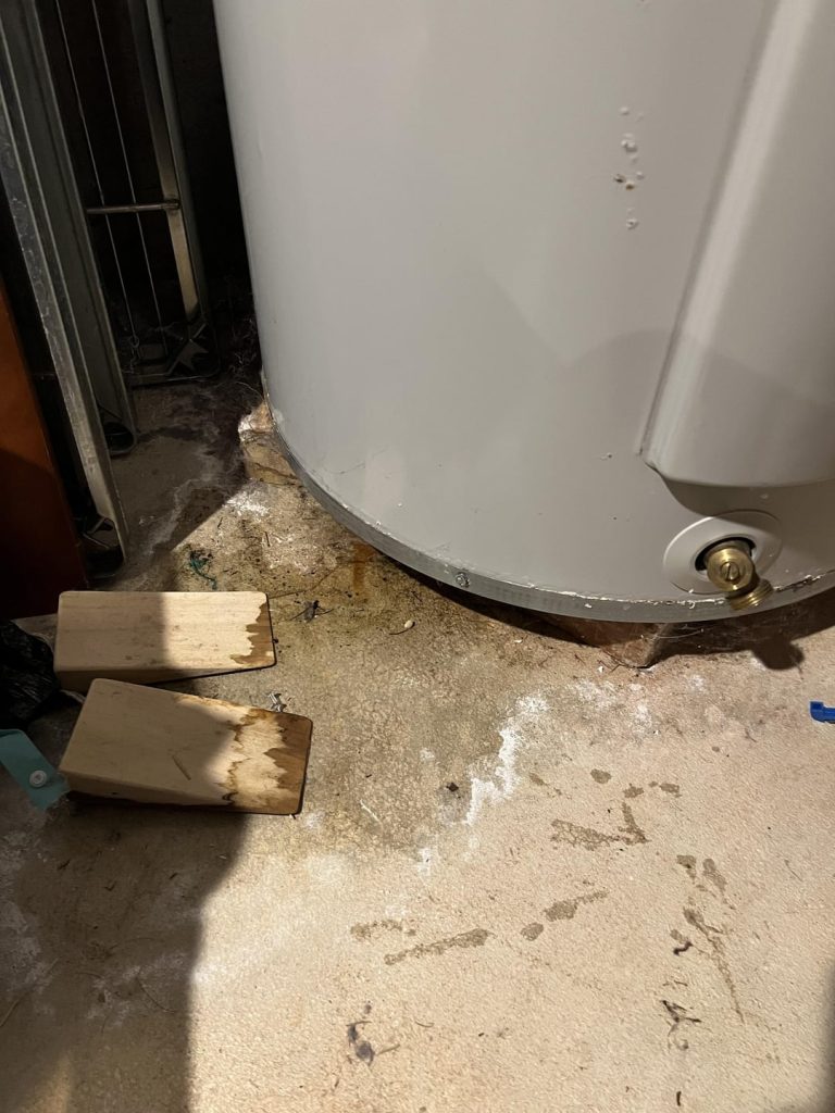 Water around Bottom of Water Heater: Solving Damp Dilemmas